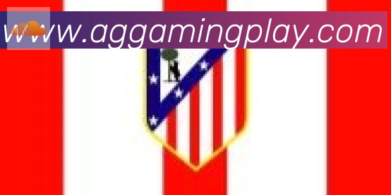 AG娱乐登录合作伙伴