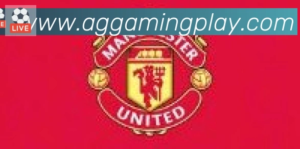 AG娱乐登录合作伙伴